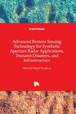 Advanced Remote Sensing Technology for Synthetic Aperture Radar Applications, Tsunami Disasters, and Infrastructure