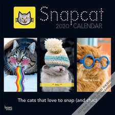 SNAPCAT 2020 SQUARE WALL CALENDAR