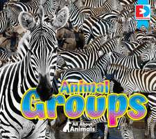 All about Animals - Animal Groups