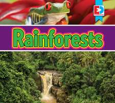 Rainforests