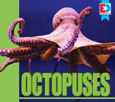 Octopuses