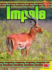 Impala