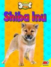 Shiba Inu