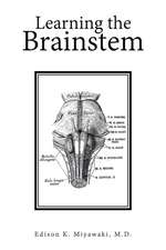 Learning the Brainstem