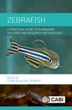 Zebrafish