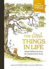 Disney Winnie the Pooh - The Little Things in Life