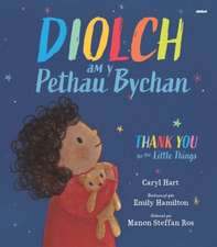 Diolch am y Pethau Bychain / Thank you for the Little Things