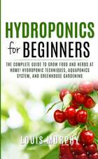 Hydroponics for Beginners