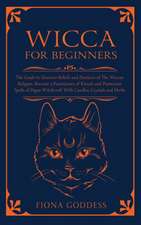 Wicca For Beginners