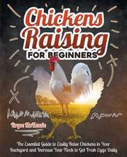 Chickens Raising For Beginners