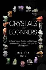 Crystals for Beginners