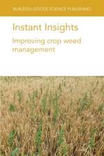 Instant Insights