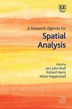 A Research Agenda for Spatial Analysis