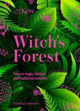 Witch's Forest