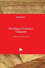 Modeling of Sediment Transport