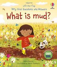 Very First Questions and Answers: What is mud?