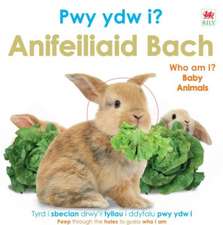 Pwy Ydw i? Anifeiliaid Bach / Who Am I? Baby Animals