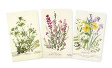 Royal Botanic Garden Edinburgh Set of 3 Mini Notebooks