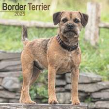 Border Terrier 2025 - 16-Monatskalender