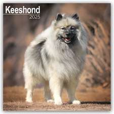 Keeshond - Wolfsspitz 2025 - 16-Monatskalender