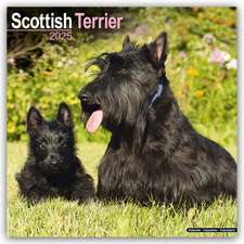 Avonside Publishing Ltd: Scottish Terrier - Scottish Terrier