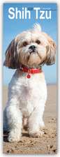 Shih Tzu Slim Calendar 2025 Dog Breed Slimline Calendar - 12 Month