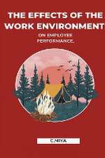 The effects of the work environment on employee performance.