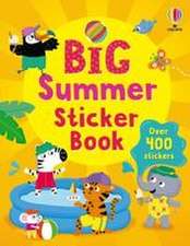 Big Summer Sticker Book
