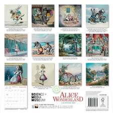 Science Museum: Alice in Wonderland Wall Calendar 2025 (Art Calendar)