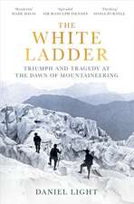 The White Ladder