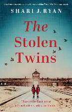 The Stolen Twins