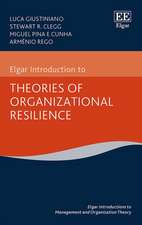 Elgar Introduction to Theories of Organizational Resilience