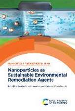 Nanoparticles as Sustainable Environmental Remediation Agents