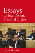 Essays on International Criminal Justice