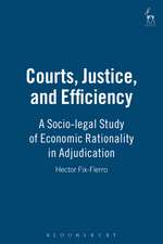 Courts, Justice, and Efficiency: A Socio-legal Study of Economic Rationality in Adjudication