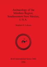 Archaeology of the Mimbres Region, Southwestern New Mexico, USA