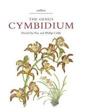 Genus Cymbidium
