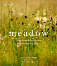 Meadow