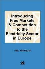 Introducing Free Markets and Competition to the Electricity Sector in Europe