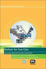 Biofuels for Fuel Cells