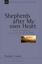 Shepherds after my own heart – Pastoral Traditions And Leadership In The Bible