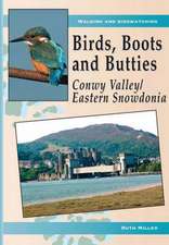 Birds, Boots and Butties: Conwy Valley/Eastern Snowdonia