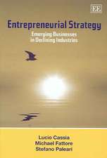 Entrepreneurial Strategy – Emerging Businesses in Declining Industries