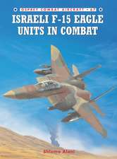 Israeli F-15 Eagle Units in Combat