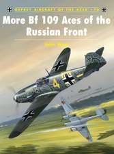 More Bf 109 Aces of the Russian Front: 811-1639