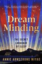Dream Minding