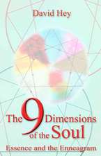 9 Dimensions of the Soul, The – Essence and the Enneagram