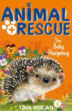 Nolan, T: The Baby Hedgehog