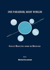 One Paradigm, Many Worlds: Conflict Resolution Across the Disciplines