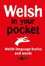 Welsh in Your Pocket